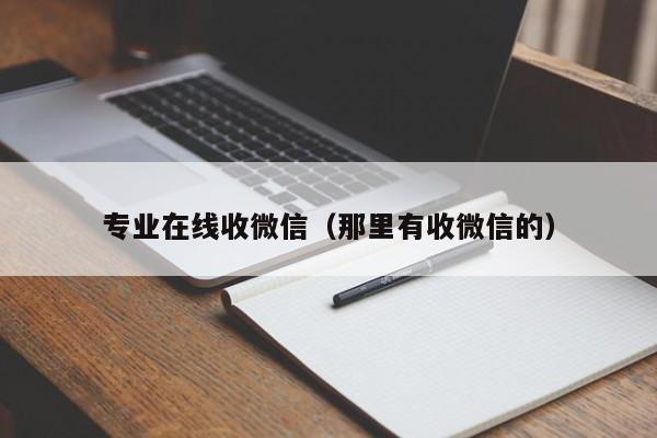 专业在线收微信（那里有收微信的）